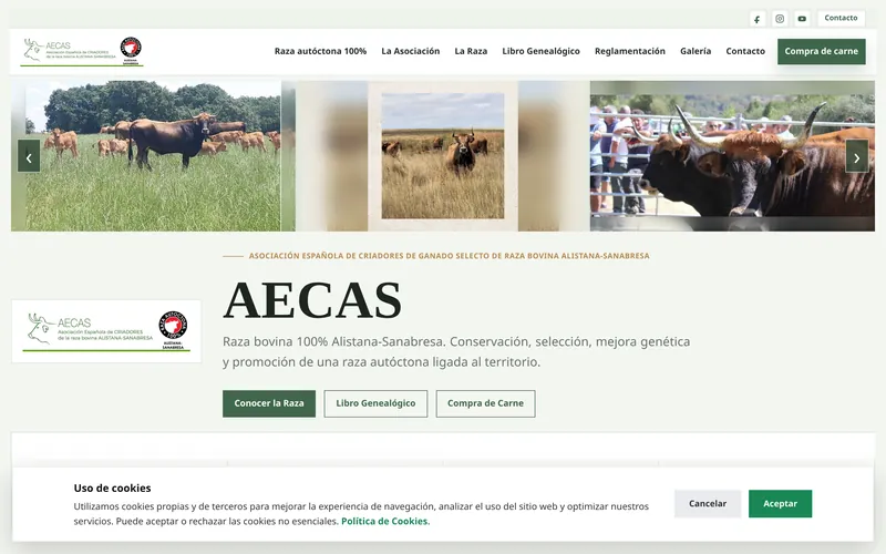 Web de AECAS