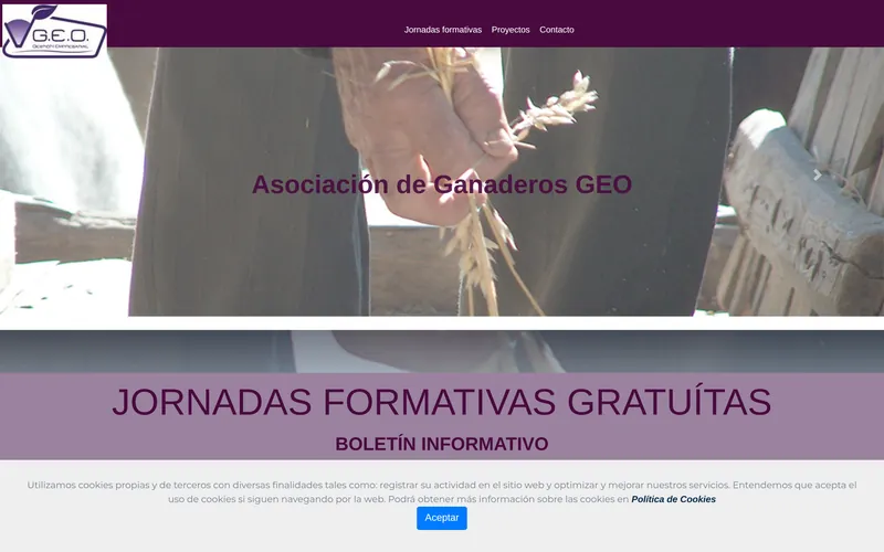 Web de la Asociación GEO